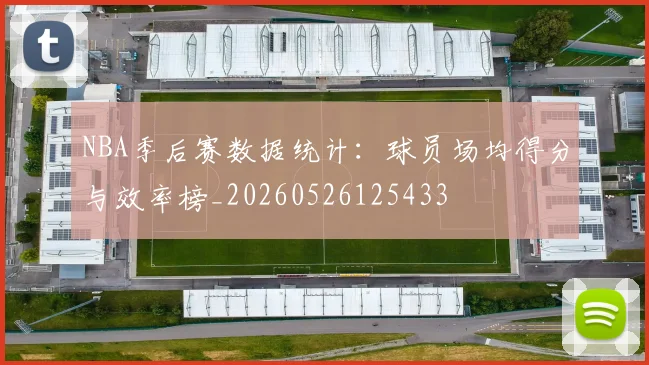 NBA季后赛数据统计：球员场均得分与效率榜_20260526125433